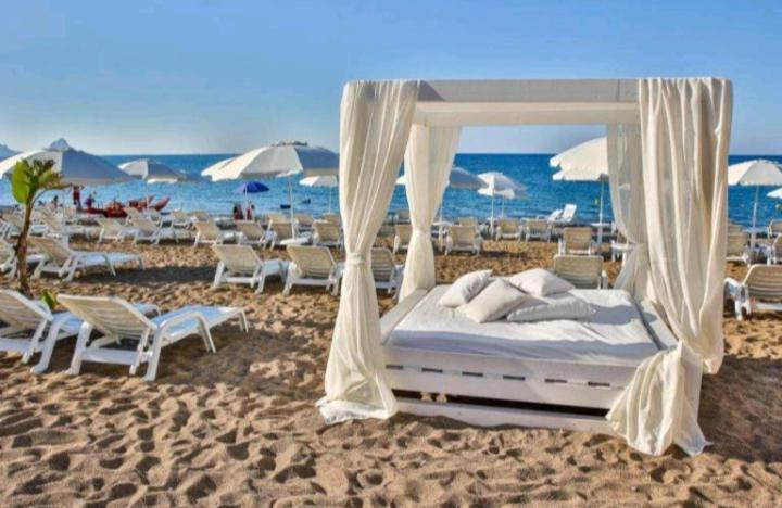 Casa Vacanze Butterfly 特拉比亚 外观 照片